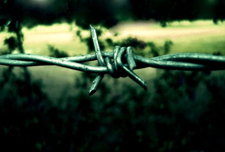 Bodljikavom žicom protiv ilegalaca