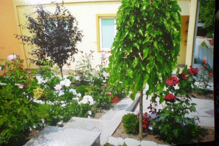 Uručene nagrade za najuređenija dvorišta