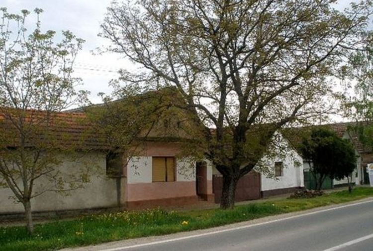 Dječak ukaljao ugled hrvatske države