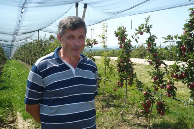 Prijedorčanka spremna da otkupi cjelokupni rod šljive