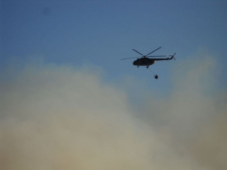 Helikopteri Oružanih snaga BiH gase šumski požar na Zubcima