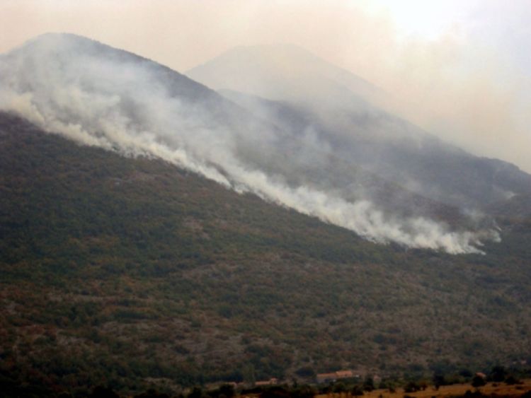 Dva nova požara na području Trebinja