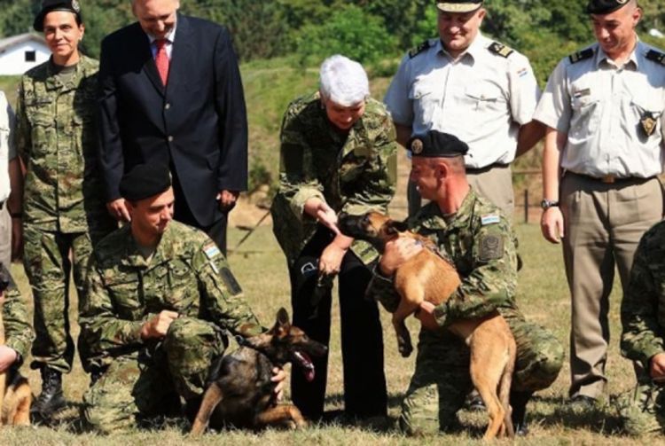 Pas umalo ugrizao Jadranku Kosor