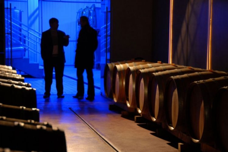 Oko 700.000 Austrijanaca ima problem s alkoholom