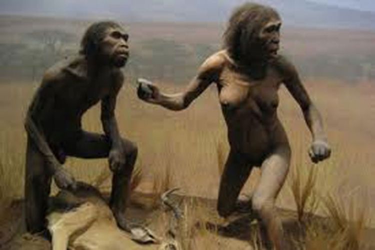 Ukrštanjem sa neandertalcima homo sapiens poboljšao imunitet