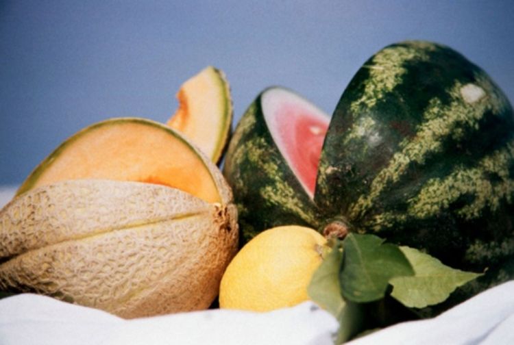 Hrvatski turizam: Kilogram voća prodaju za 105 kuna