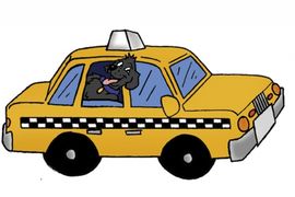 Teslić ostaje bez taksija