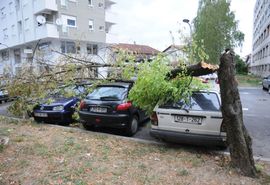 Nevrijeme u Banjaluci: Vjetar čupao stabla, troje povrijeđeno (Foto)