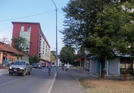 Lažna inspektorka pojela ćevape i otišla