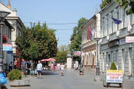 "Pomoćnik ministra"  priznao prevaru