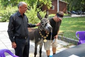 Magarac kandidat za gradonačelnika