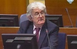 Karadžić: Džafić je vršio obuku ekstremista