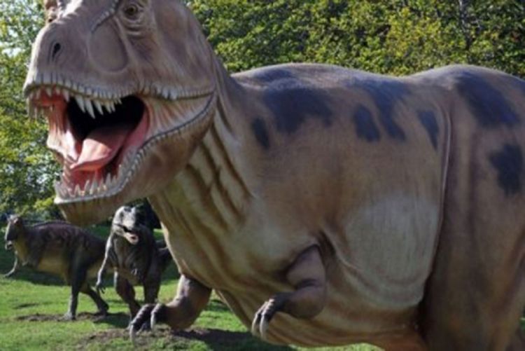 Dinosaurusi u prirodnoj veličini u Beogradu