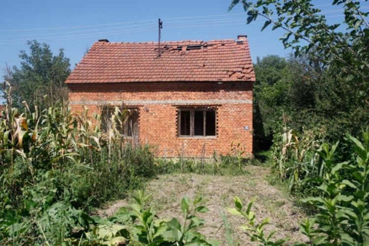 Dosije: Ubistvo Jerine Bilbije, misterija duga osam godina (Foto)