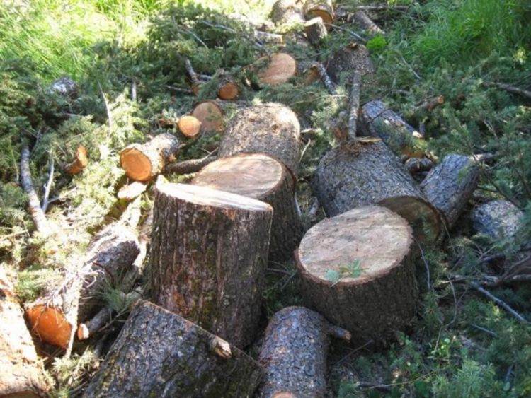 Cijena ogreva ista, potražnja slaba