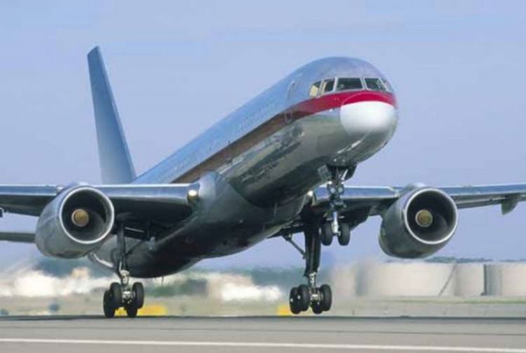 Miš prizemljio avion