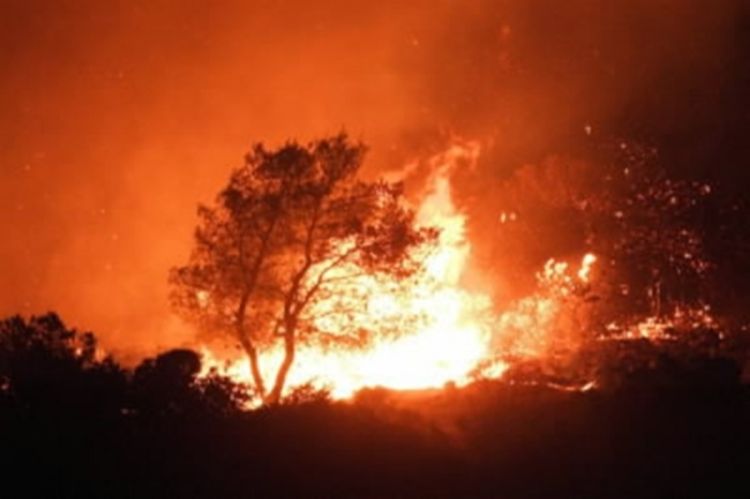 Vatra u Hercegovini guta sve pred sobom
