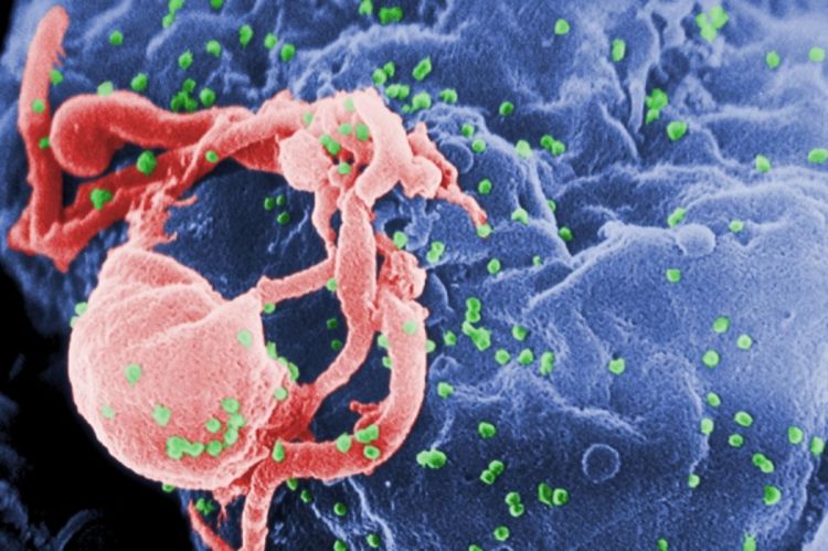 Indijska djeca izgleda zaražena HIV-om tokom transfuzije