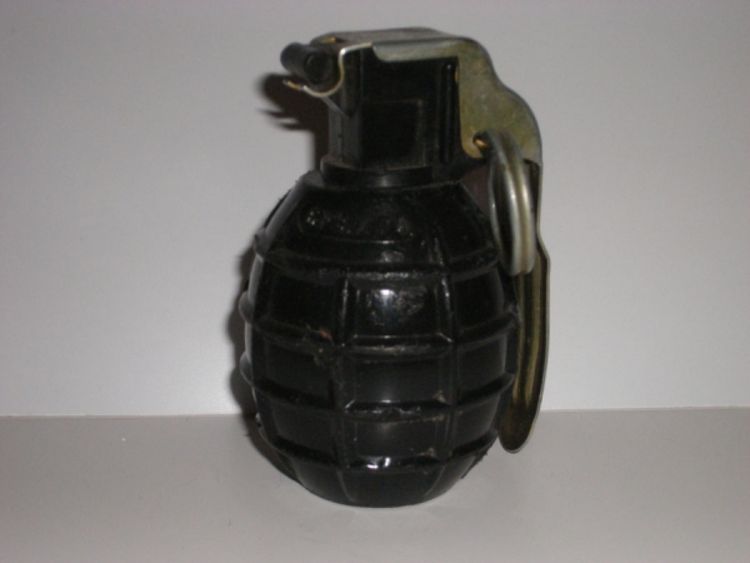 Bombama čuvao vikendicu od provalnika
