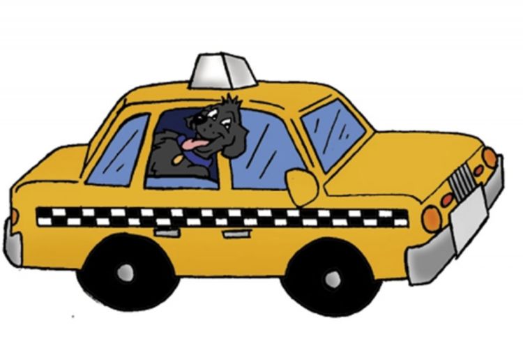 Teslić ostaje bez taksija