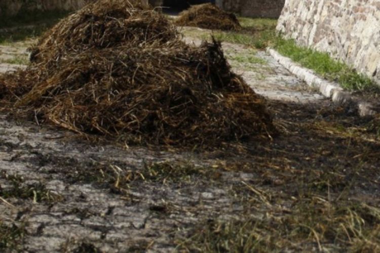 U požaru izgorjela dva sijena