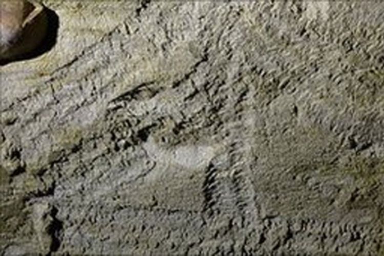 Tragove prstiju u pećinama ostavila djeca prije 13.000 godina