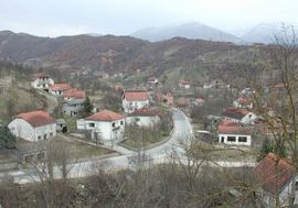 Pao s kombija i poginuo