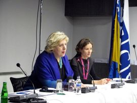 Okončana Prva konferencija OEBS-a o medijima jugoistočne Evrope