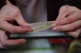 Banjaluka: Pronađena marihuana, priveden Mirko Stojaković