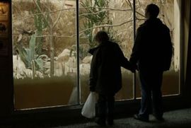 Poznati pobjednici 9. Zagreb film festivala