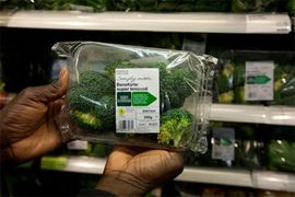Britanski naučnici uzgajili superbrokoli