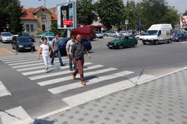 Za dan pješake ugrozila 84 vozača
