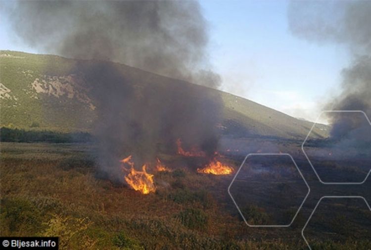 Gori prirodni rezervat Hutovo blato (Foto, Video)