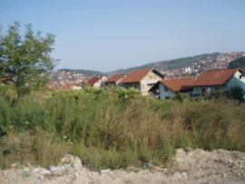 Plaćati građanima za čupanje ambrozije