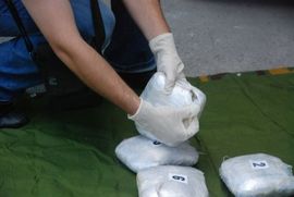 Zaplijenjeno više od 31 kilograma skanka