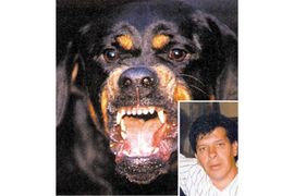 Vlasniku rotvajlera 18 godina zatvora