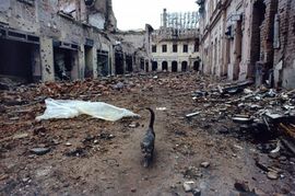 Vukovar, dvadeset godina kasnije