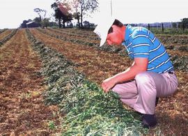 Svim budućim agronomima u Srbiji obećan posao