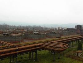 Litvanci iznose 135 miliona iz Birča