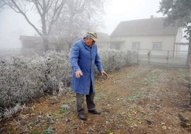 Neriješeno ubistvo Stevana Šućura: Penzionera pretukli i ostavili da ...
