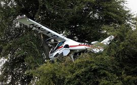Starac sletio avionom na drvo