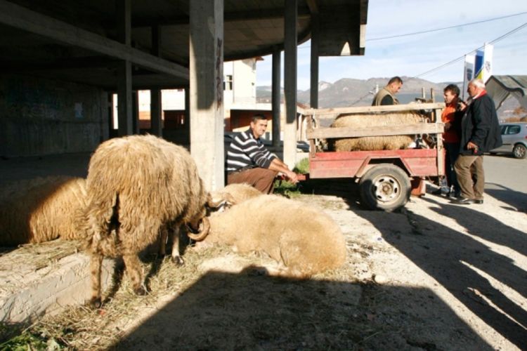 Muslimani slave Kurban-bajram