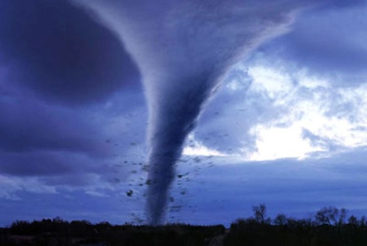 Tornado u Oklahomi odnio krdo krava (Video)