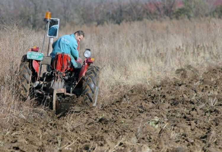 Poljoprivrednici duguju 11 miliona KM