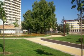 Član Nacionalnog savjeta Bugara u Srbiji napao kolegu