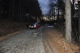 Ubijen vlasnik preduzeća Gigant