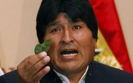 Evo Morales se bori za pravo na žvakanje koke