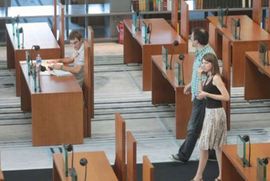 Moler propao kroz plafon biblioteke