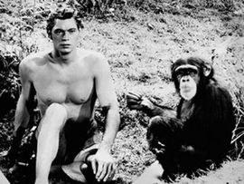 Preminula šimpanza Čita iz filmova o Tarzanu
