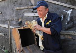 Počinje serija Kad bude biće